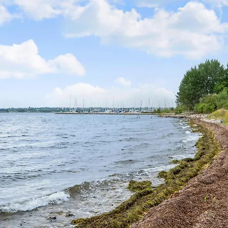 Apartament In With Wifi